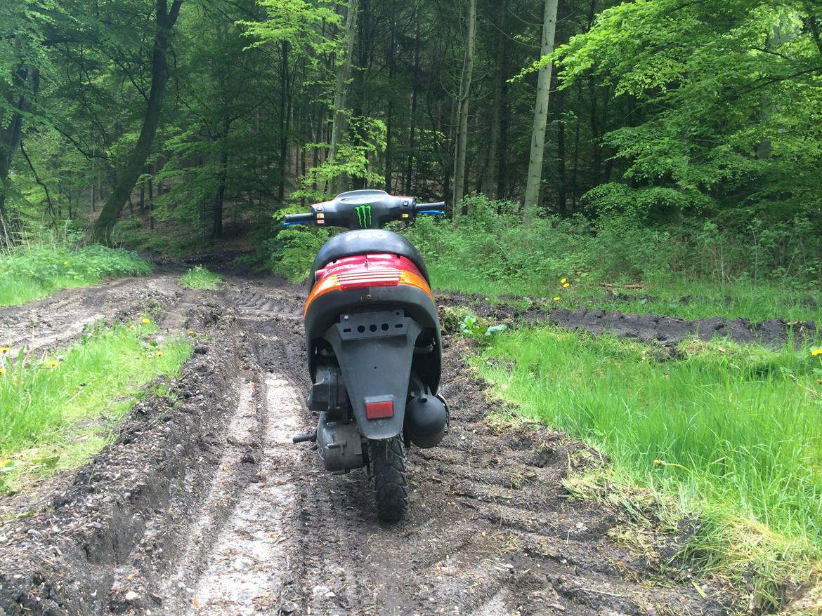 PGO Comet ( GRISEN ) billede 5