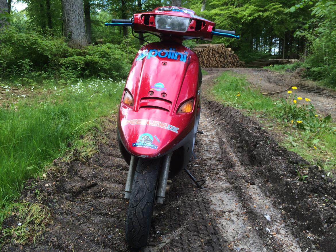 PGO Comet ( GRISEN ) billede 6