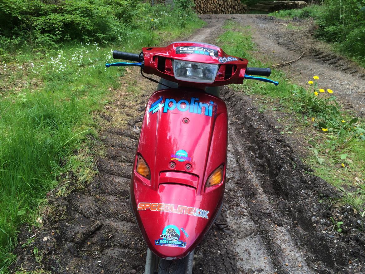 PGO Comet ( GRISEN ) billede 7