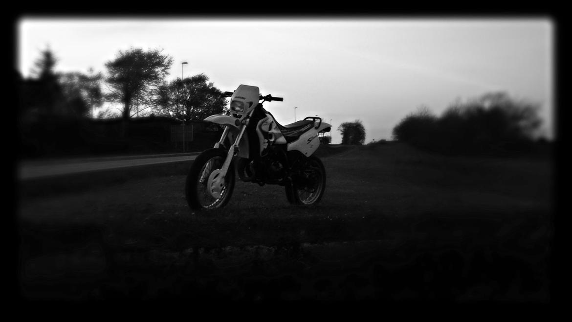 Suzuki Smx billede 1