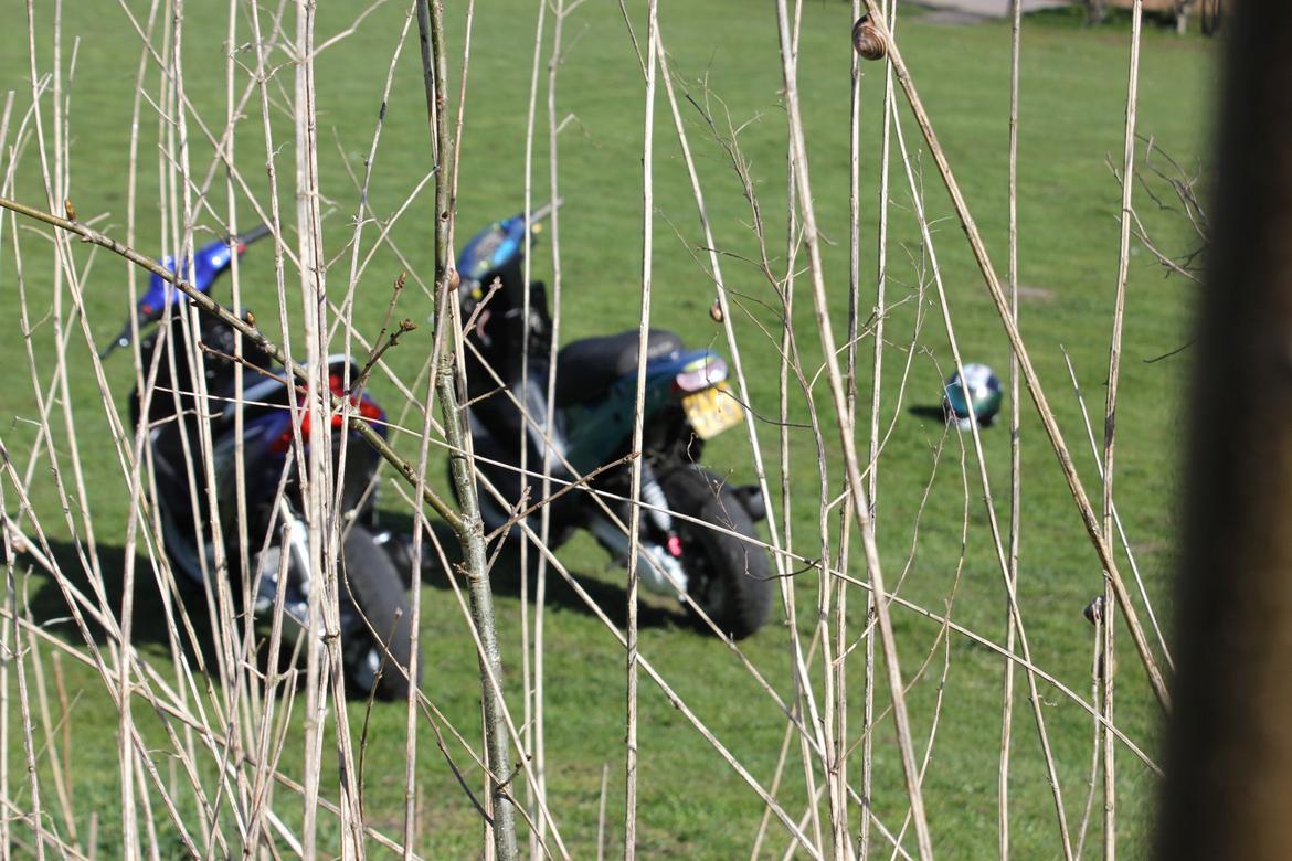 Yamaha Jog R billede 16