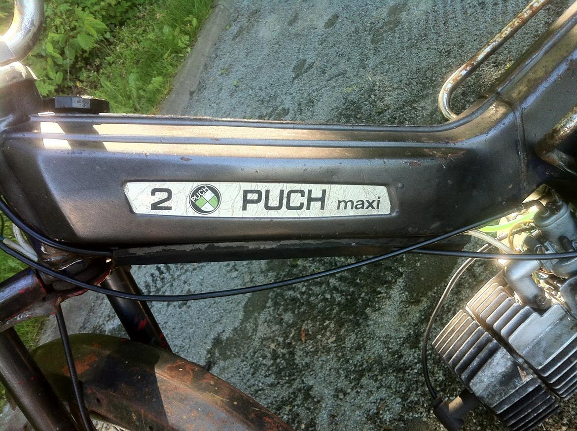 Puch Maxi KL billede 5