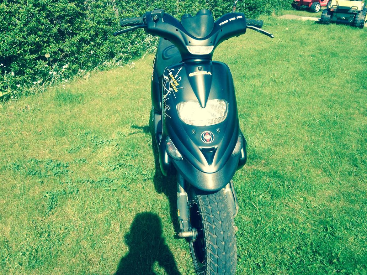 Gilera Stalker Special Series billede 2