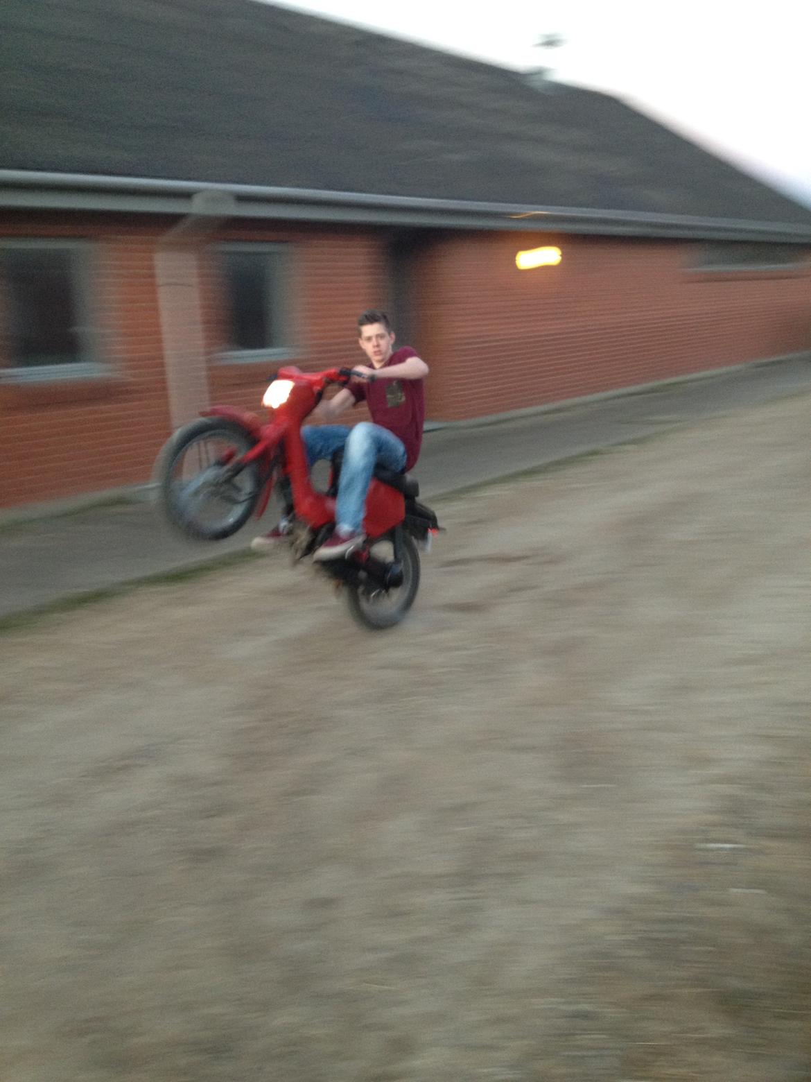 Honda Wallaroo billede 4