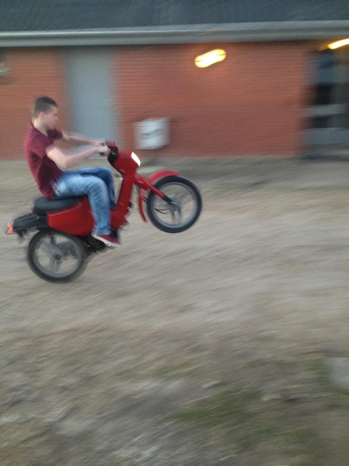 Honda Wallaroo billede 5