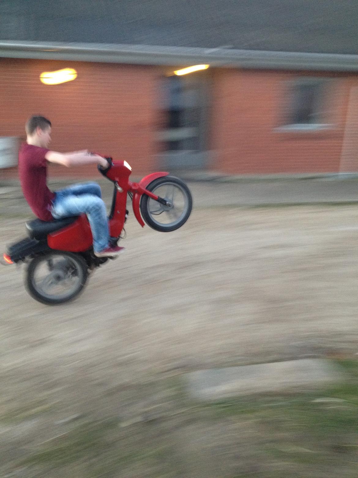 Honda Wallaroo billede 6