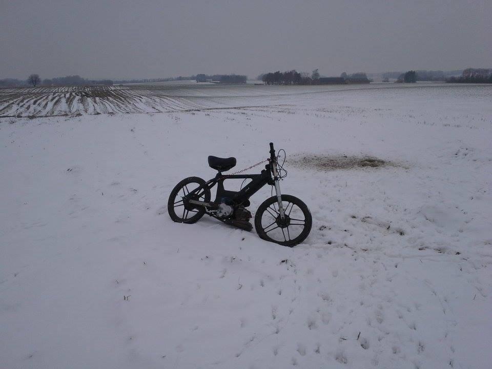 Puch Maxi billede 5