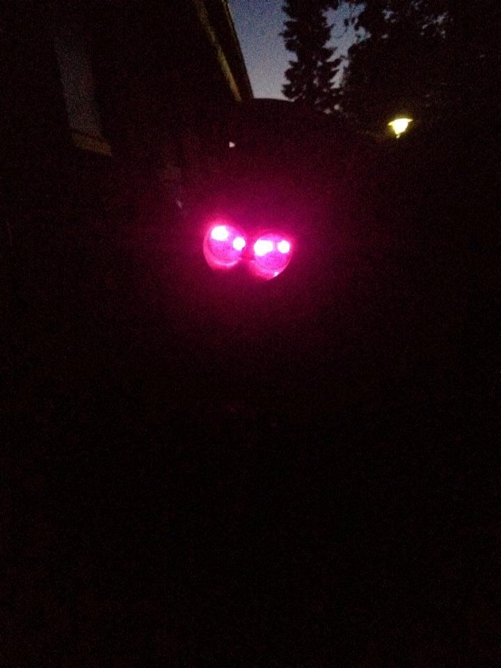 PGO hot 50 billede 6