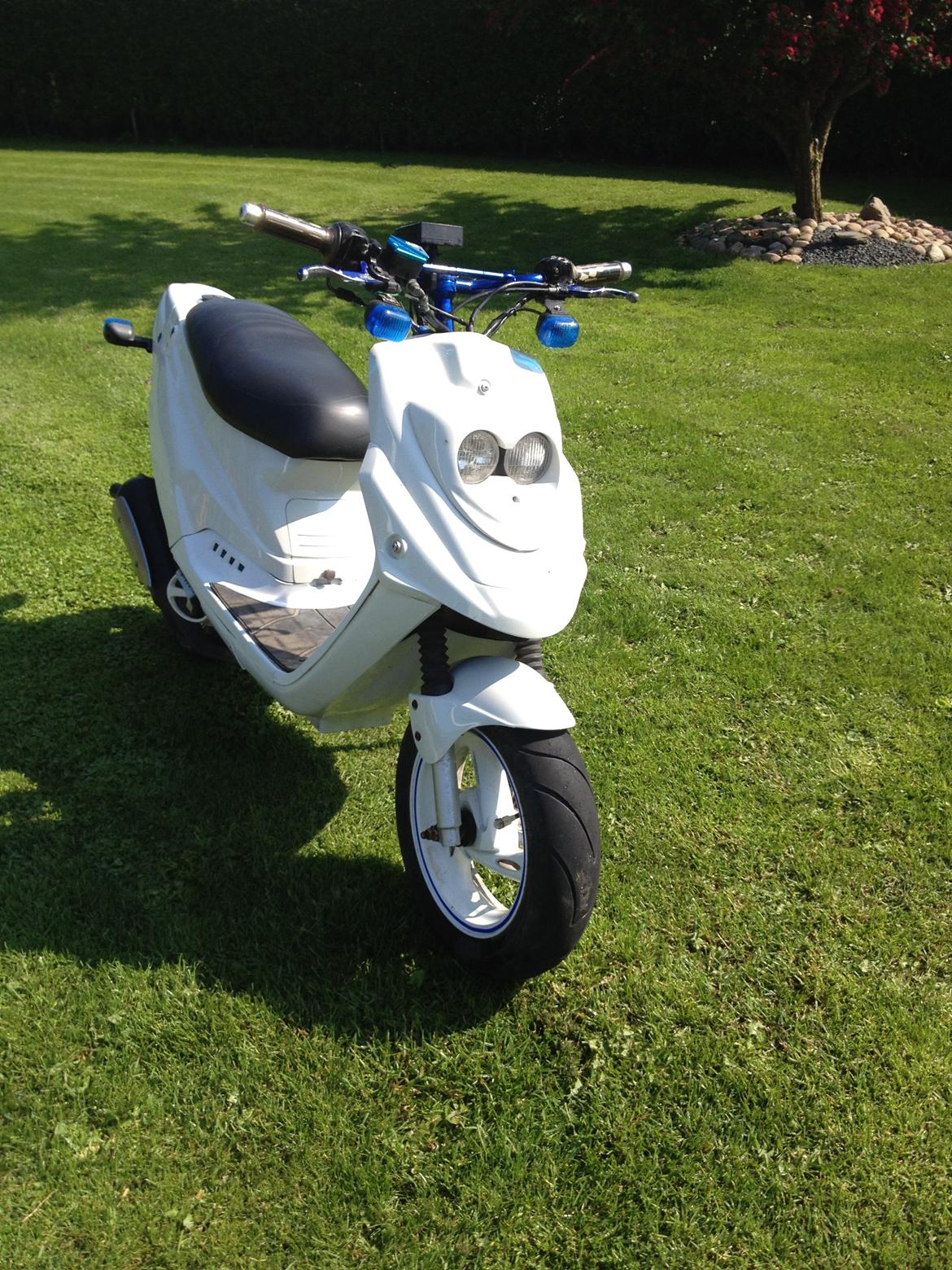 PGO Hot 50 billede 7