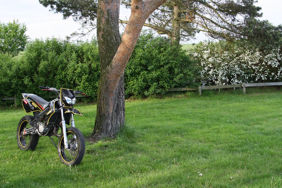 Derbi Senda billede 4