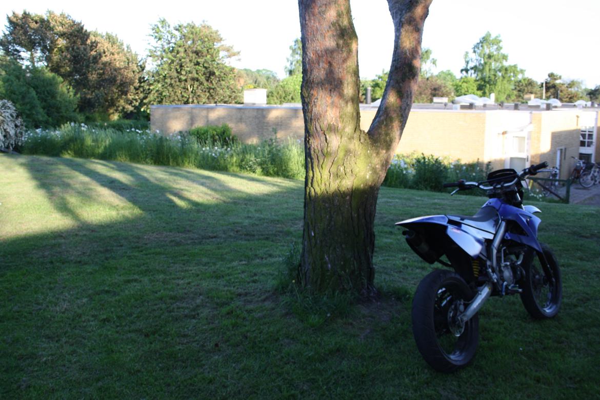 Derbi Senda billede 3