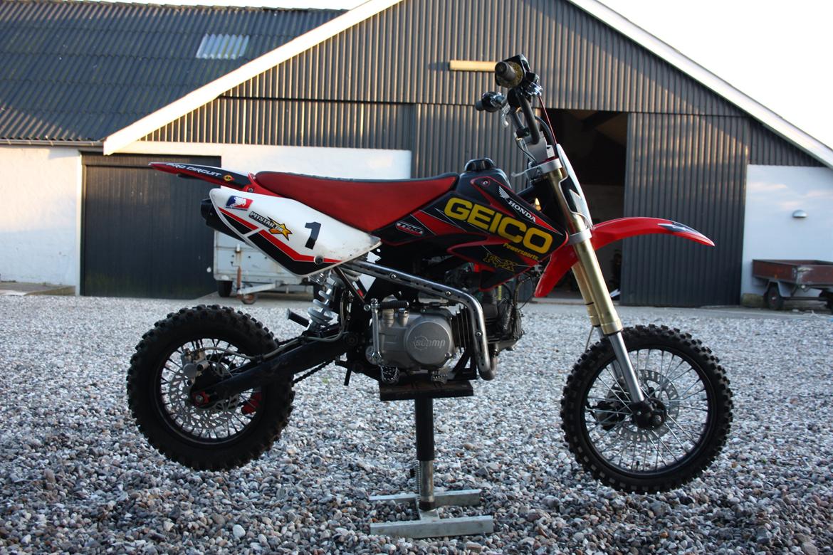 Pitstar Stomp YX 140 cc CFR 70 billede 8