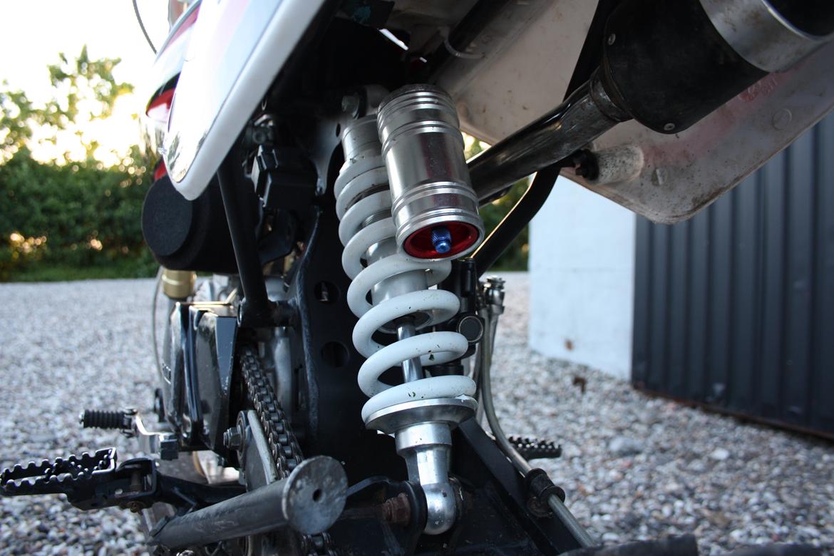 Pitstar Stomp YX 140 cc CFR 70 billede 14