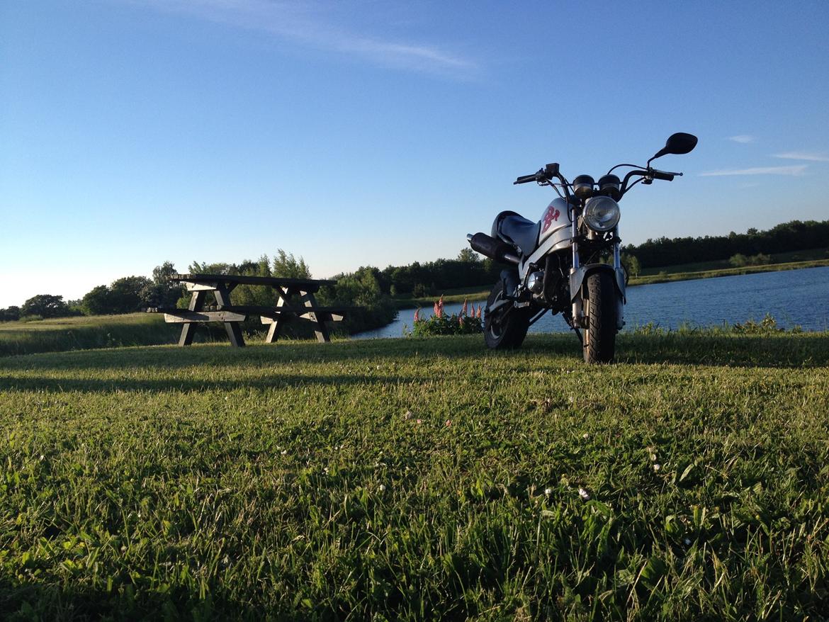 Skyteam PBR billede 1