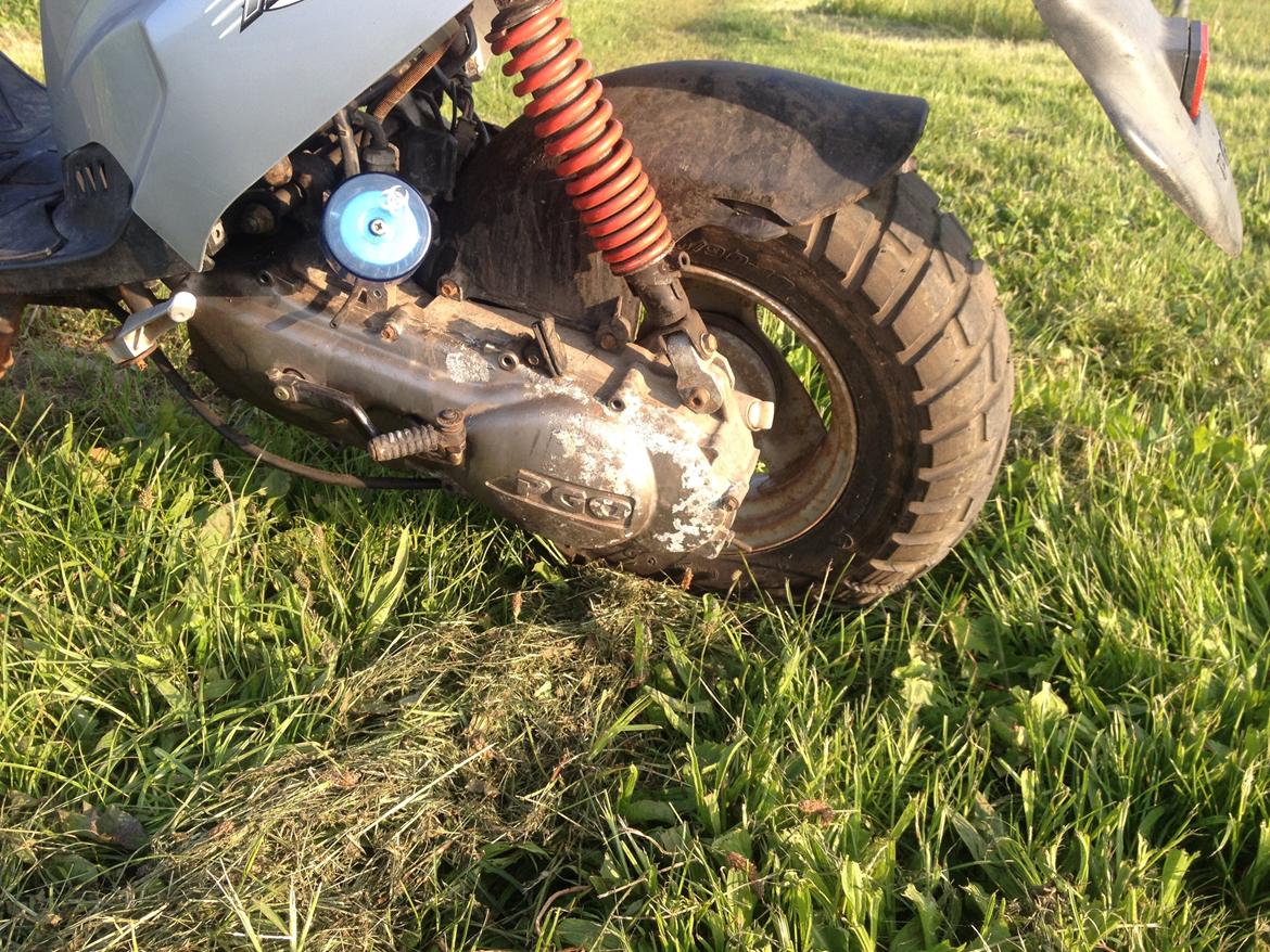 PGO hot 50 billede 7