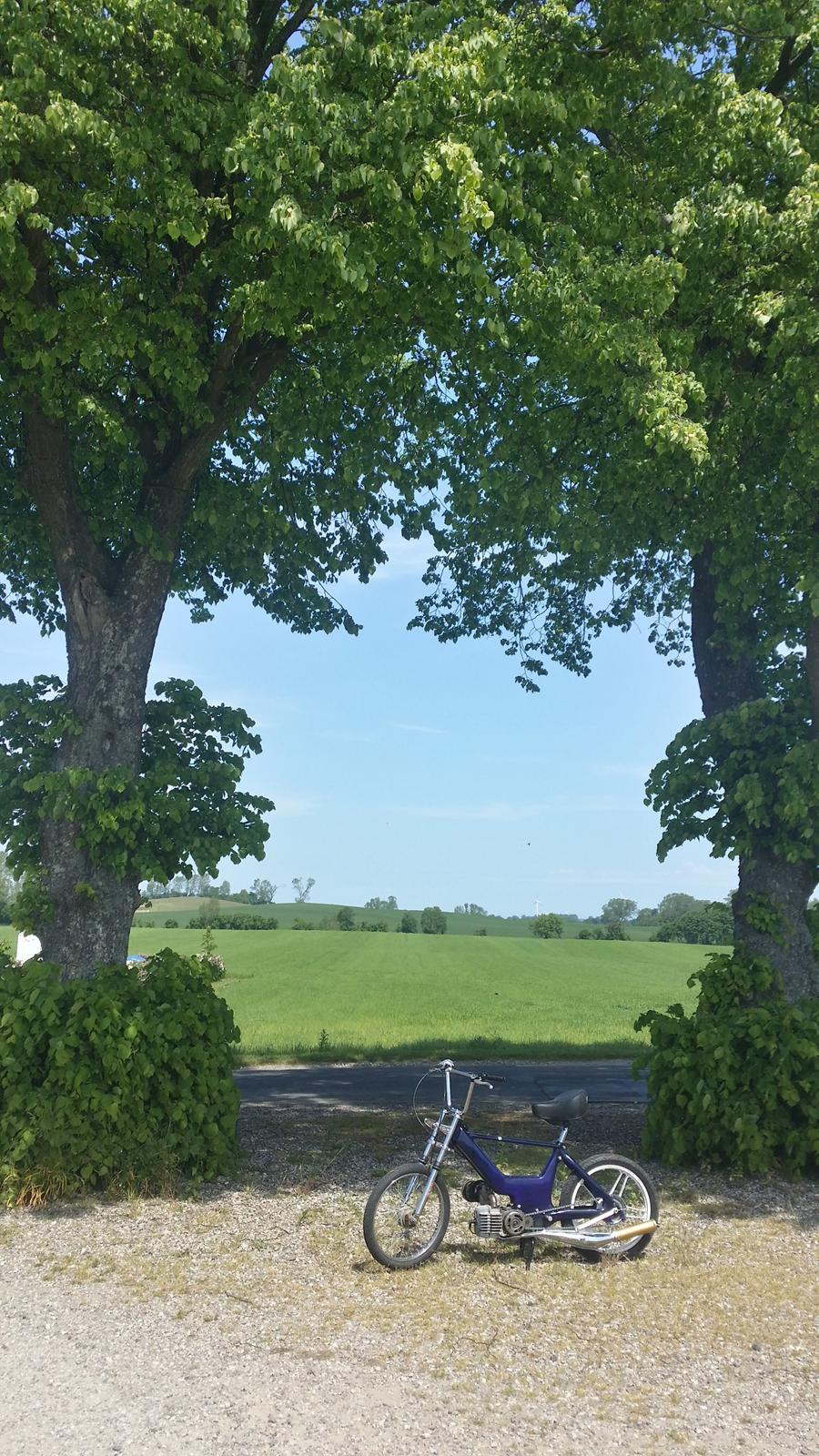 Puch maxi 74cc SVEJST KOBLINg SOLGT billede 2