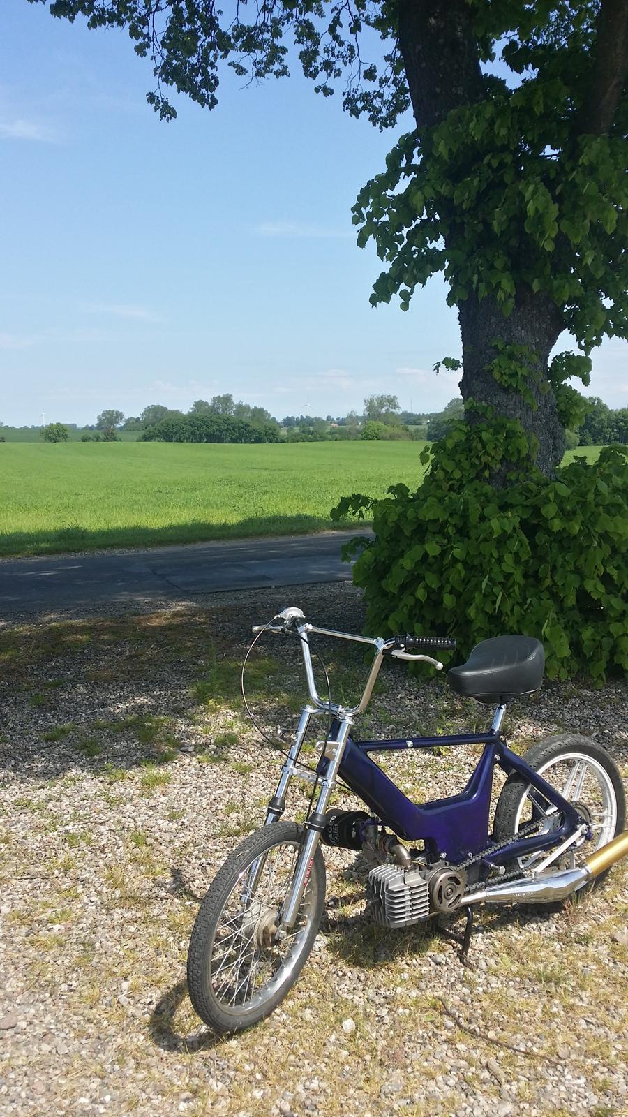 Puch maxi 74cc SVEJST KOBLINg SOLGT billede 1