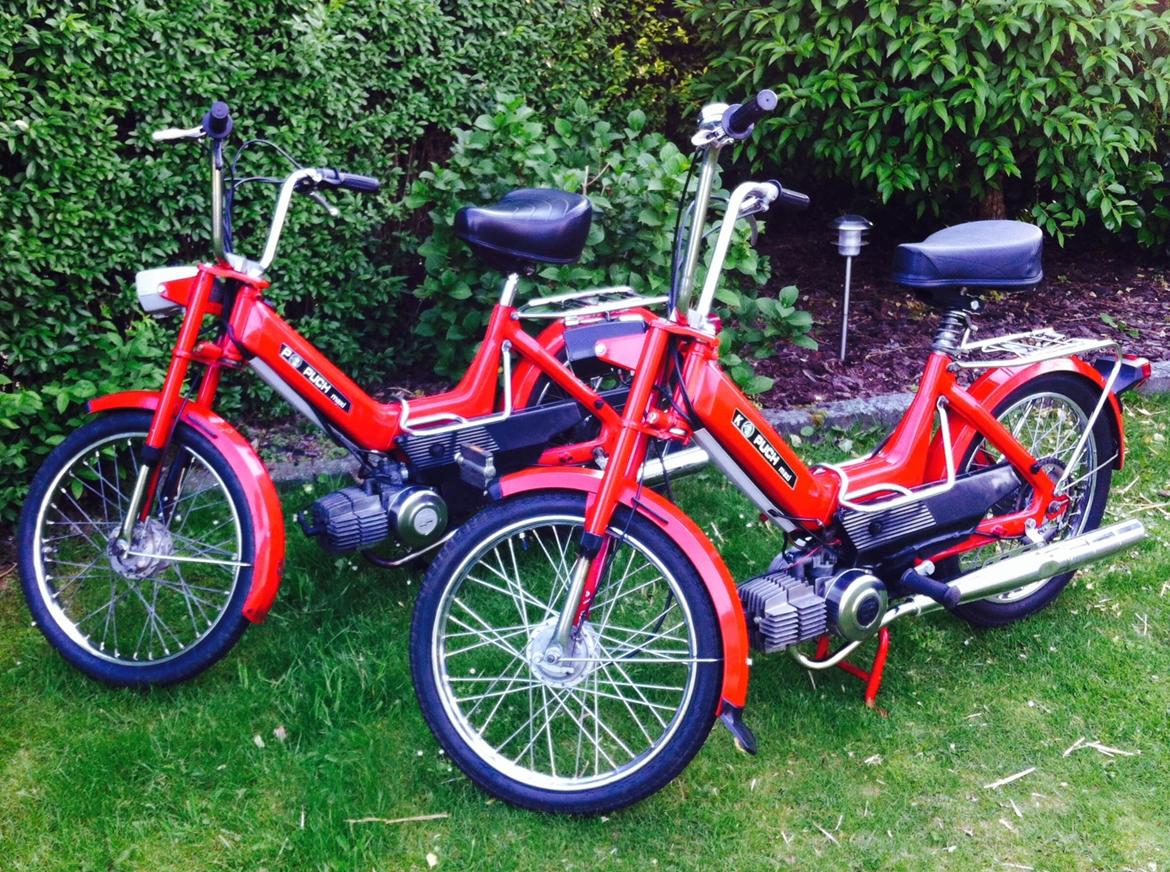 Puch Maxi K billede 5