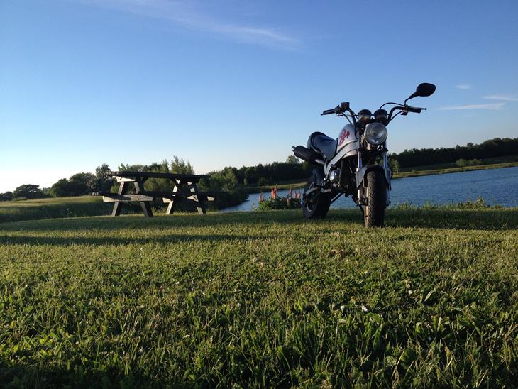 {{currentPhoto.altText}} billede {{currentPhoto.number}}