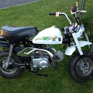 Skyteam Monkey 72 cc