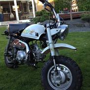 Skyteam Monkey 72 cc