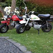 Skyteam Monkey 72 cc