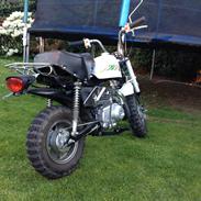 Skyteam Monkey 72 cc