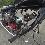 Regal Raptor 50cc