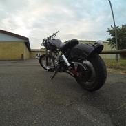 Regal Raptor 50cc