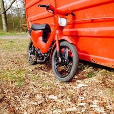 Honda Wallaroo