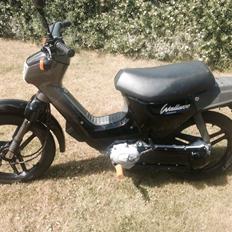 Honda Wallaroo Deluxe