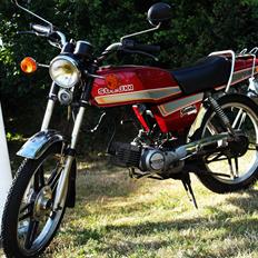 Suzuki DM50 - Samurai "Vinterskrallerten"