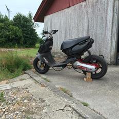 Aprilia sonic (rotten)