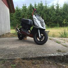 Aprilia sonic (rotten)