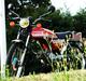 Suzuki DM50 - Samurai "Røde"