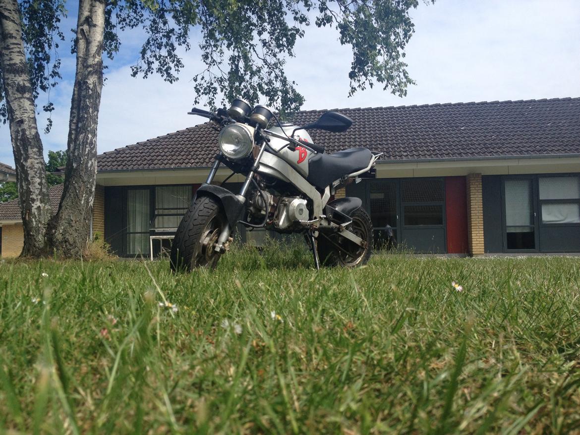 Skyteam PBR billede 4