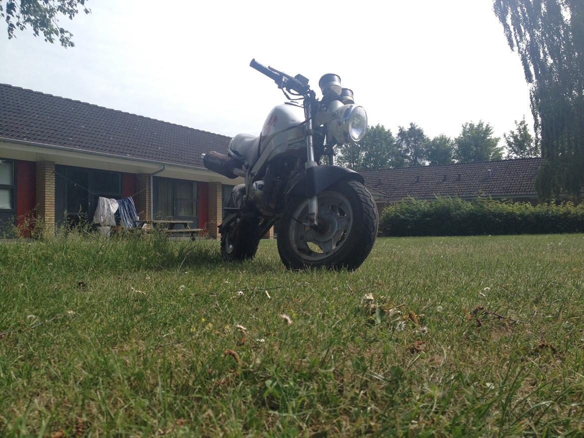 Skyteam PBR billede 5