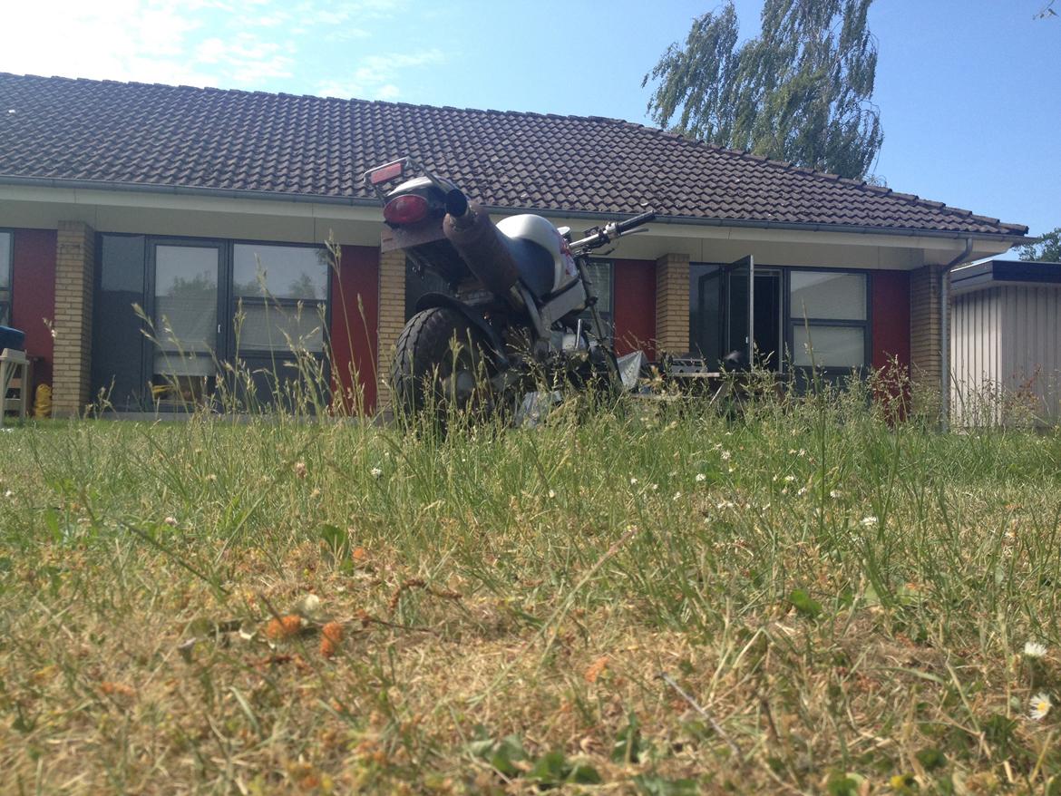 Skyteam PBR billede 7