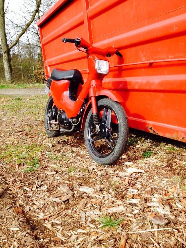Honda Wallaroo billede 2