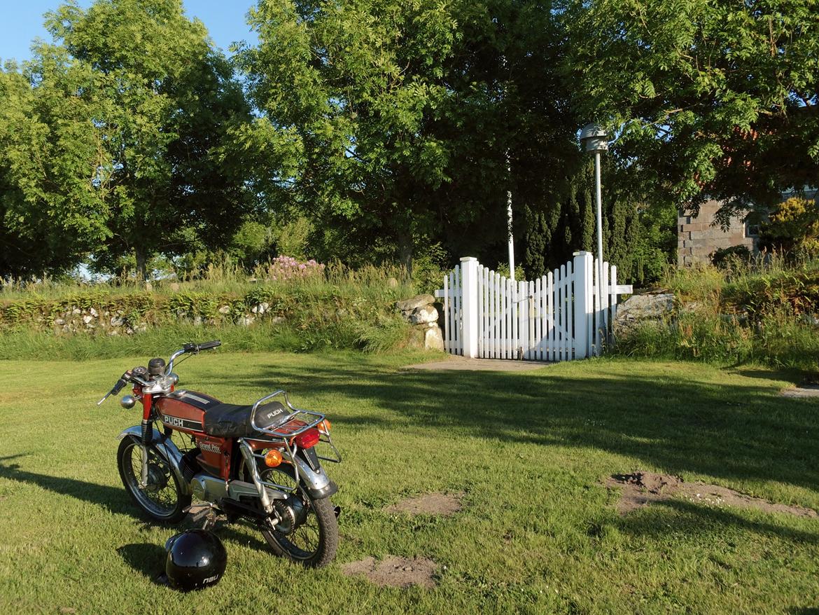 Puch N-50 Grand Prix billede 4