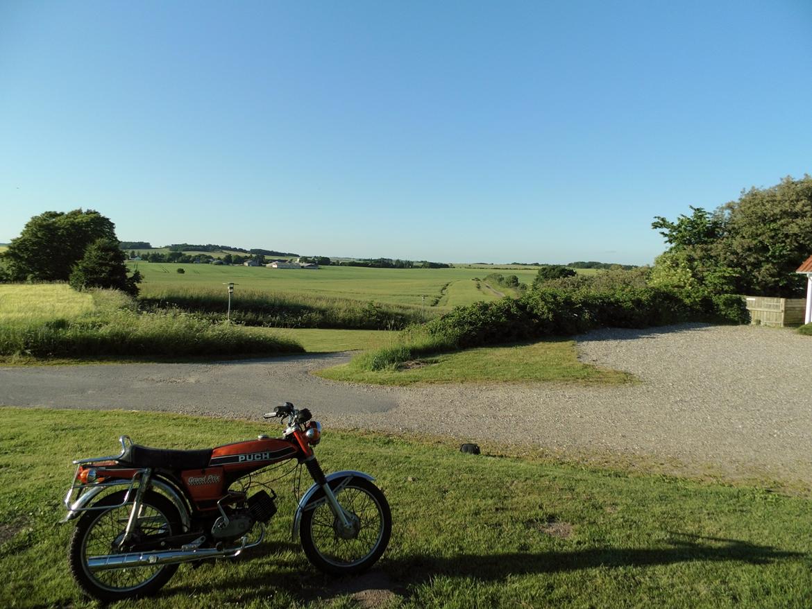Puch N-50 Grand Prix billede 8