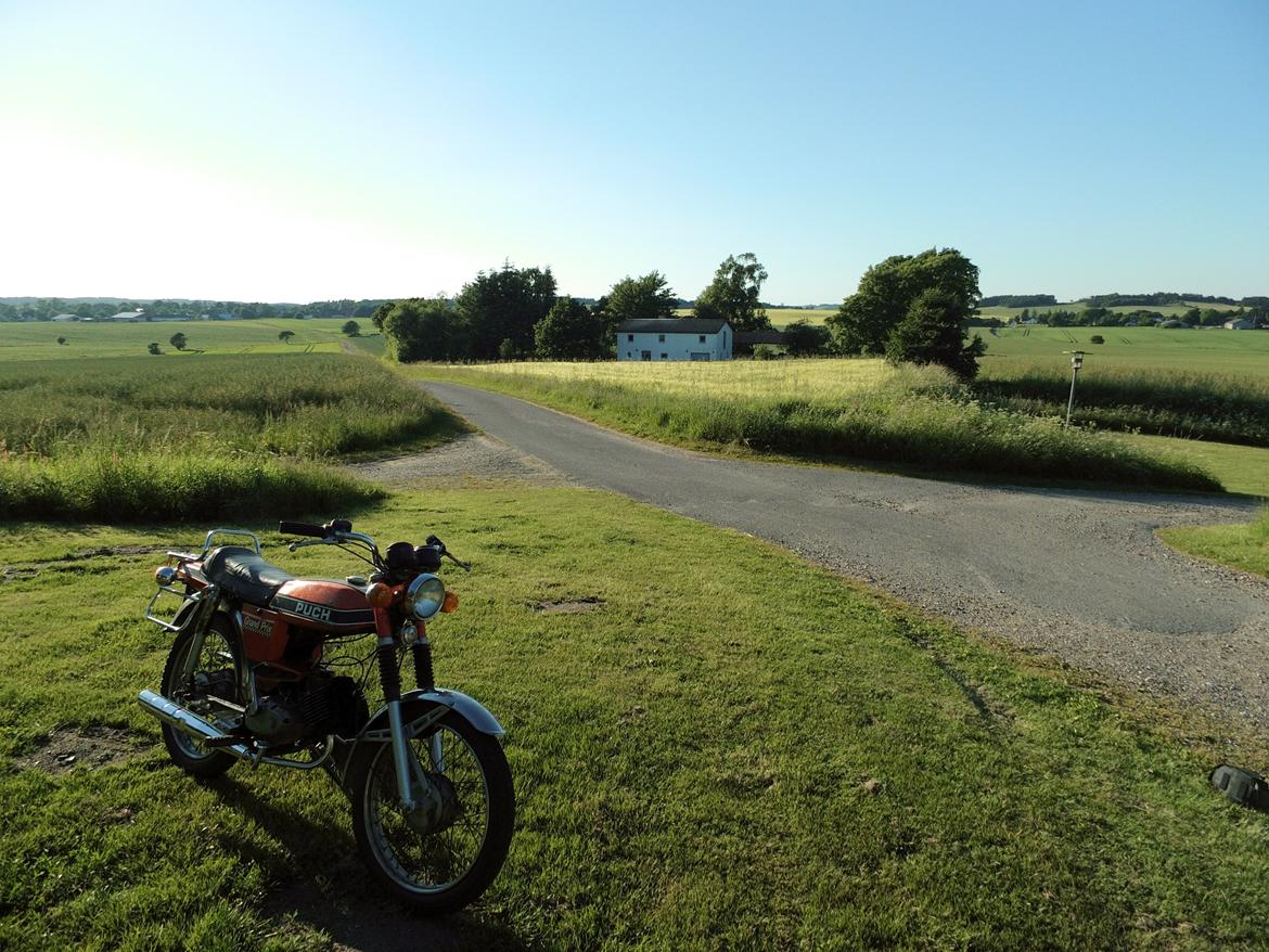 Puch N-50 Grand Prix billede 13