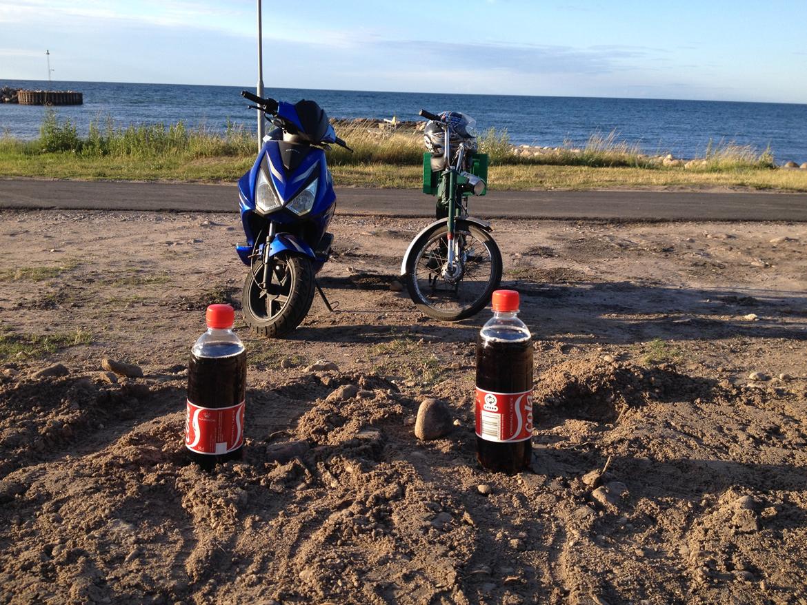 Giantco Lambros billede 14