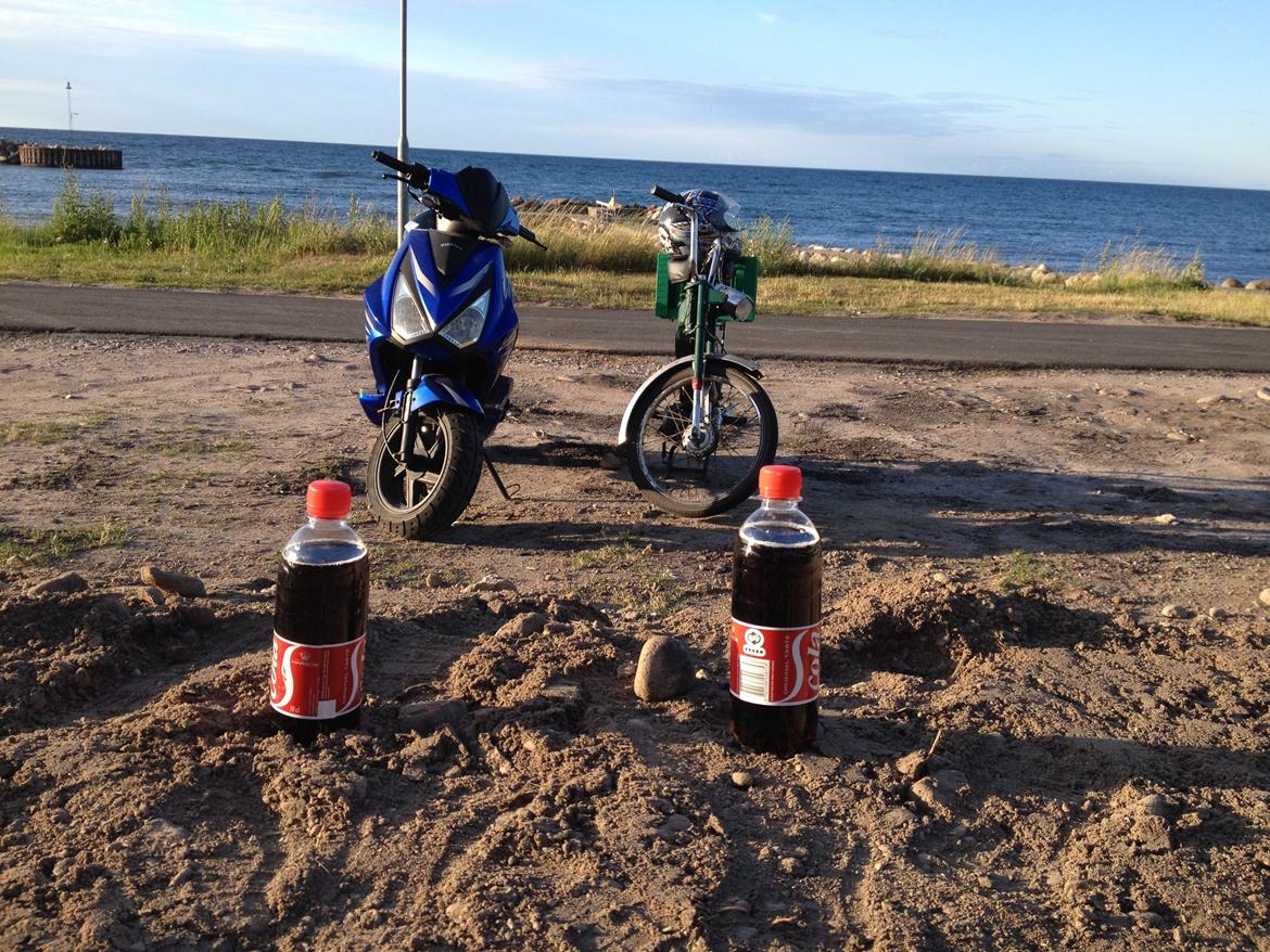 Giantco Lambros billede 15