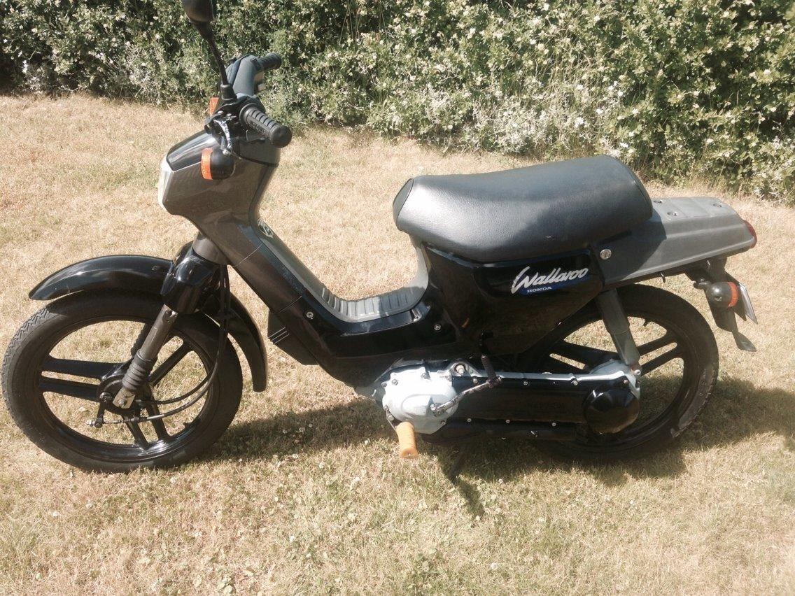 Honda Wallaroo Deluxe billede 3