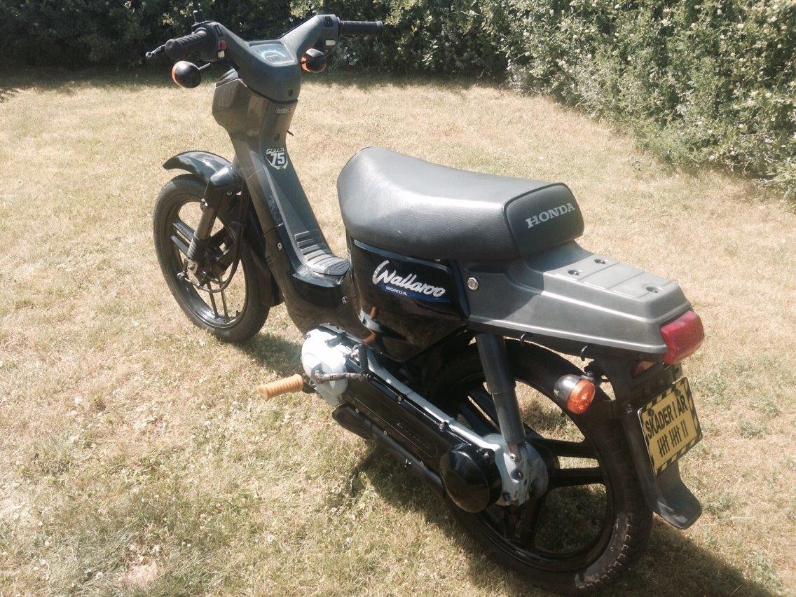 Honda Wallaroo Deluxe billede 4