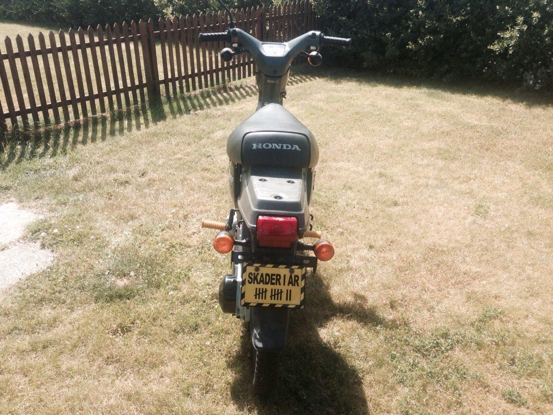 Honda Wallaroo Deluxe billede 5