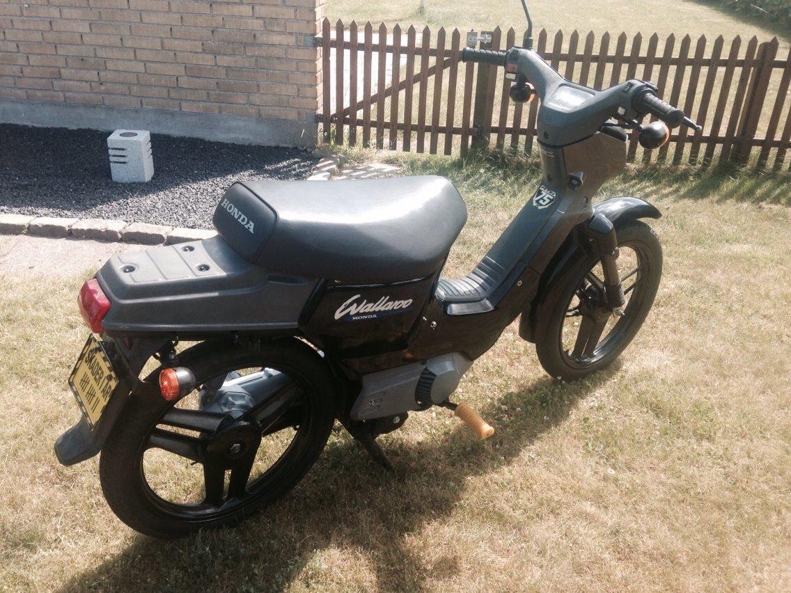 Honda Wallaroo Deluxe billede 6