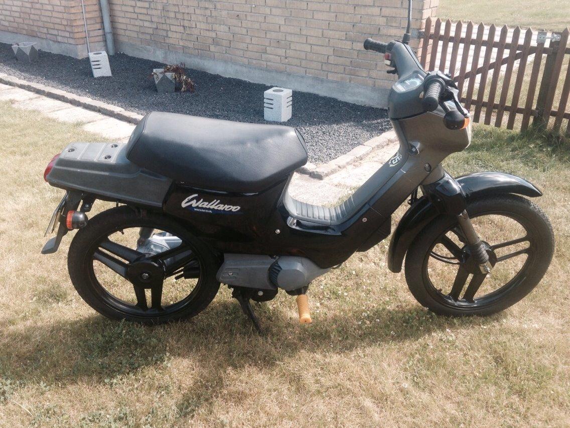 Honda Wallaroo Deluxe billede 7