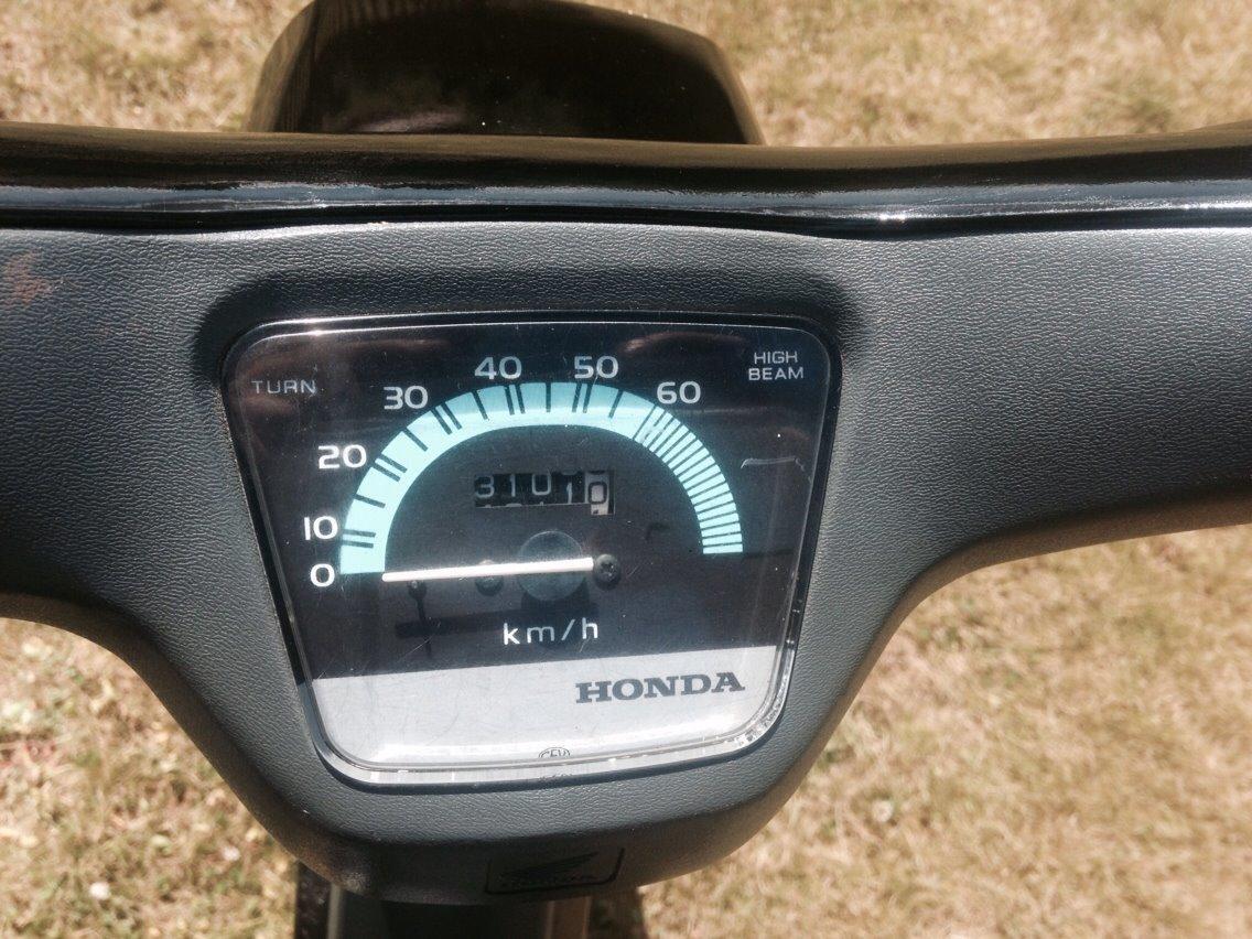 Honda Wallaroo Deluxe billede 10